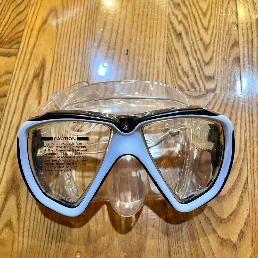 Speedo dive glass